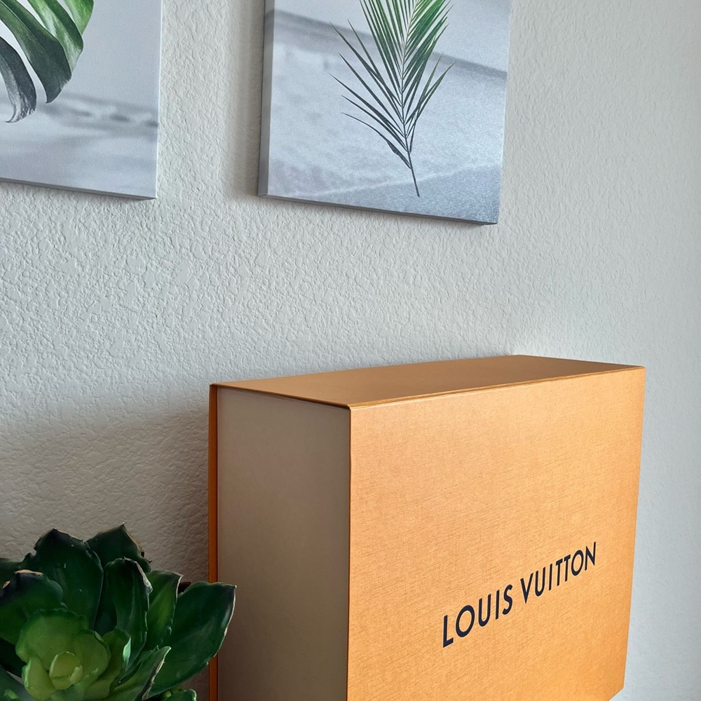Louis Vuitton Large Box 18x14x9w